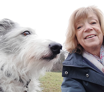 Shepton Mallet Dog Walker